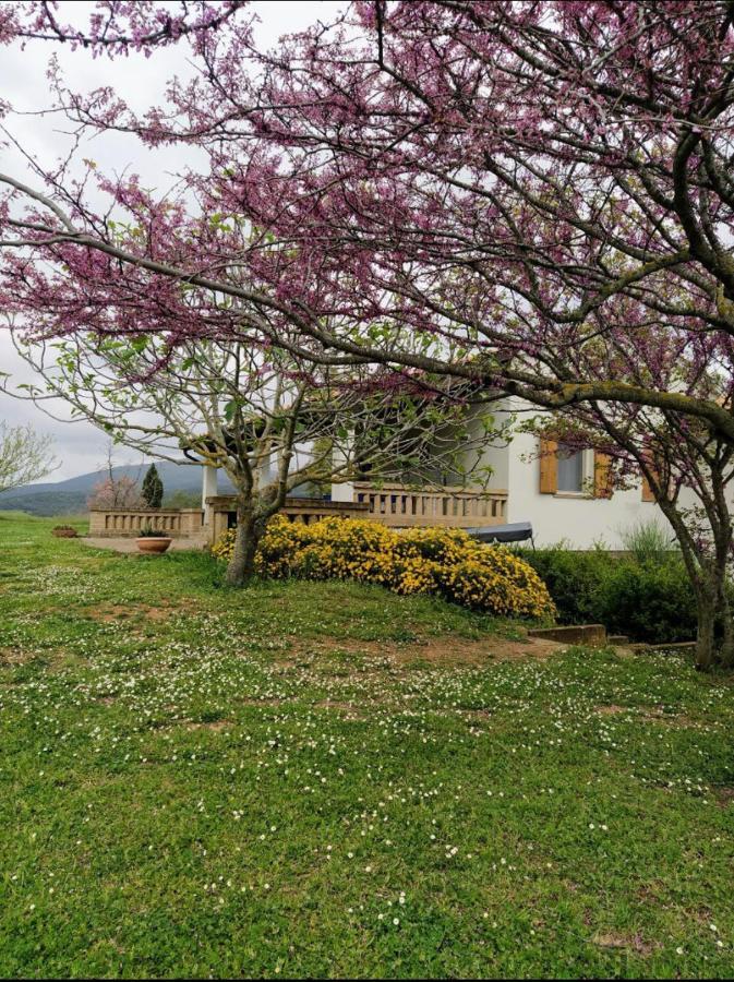 Bed and Breakfast Casale Artemisia Capalbio Exteriér fotografie